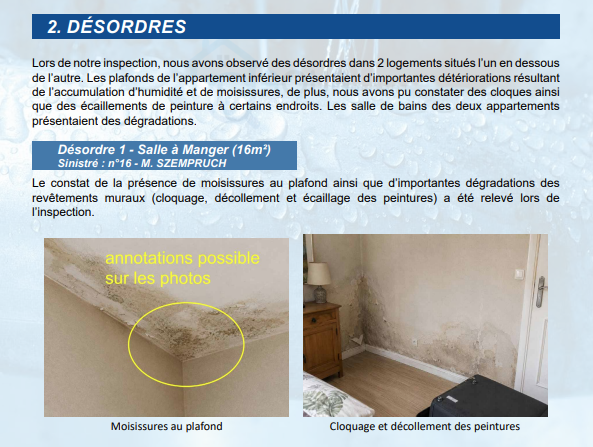 Désordre constaté d'un exemple de rapport de recherche de fuite