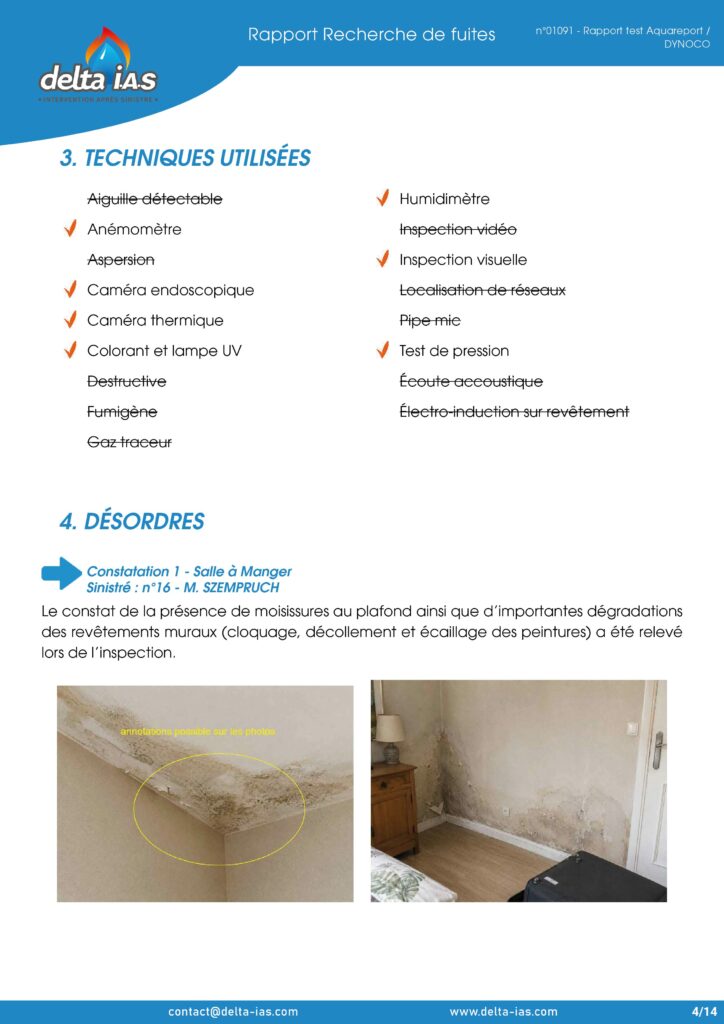 Rapport Delta IAS-04